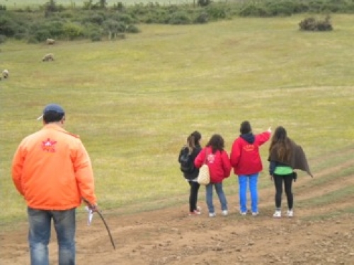 50d83a3ad3775_image_Gale_20121224_8_19.jpeg