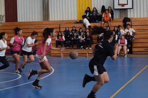5cb497c8edb79_image_Gale_20190415_7_40.jpg